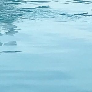 Meet your Posher, George